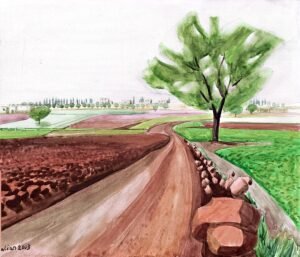 Into the Field and Beyond