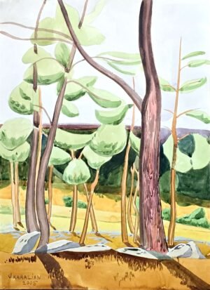 Afternoon at the Park